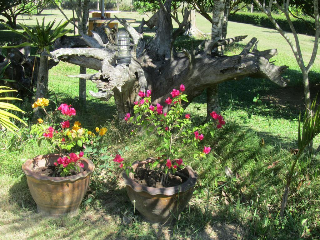 Orange Grove Resort Pai Buitenkant foto